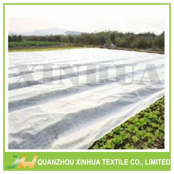 PP Non Woven Fabric Agriculture Rolls