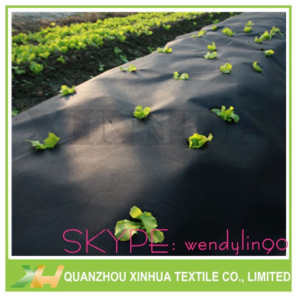 Protection Cover Agriculture Non Woven Fabric 