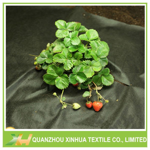 Weed Control PP Non Woven Fabric Agriculture Rolls